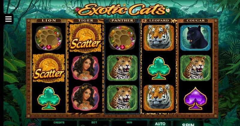 Spela på Exotic Cats online slot från Microgaming gratis | Casino Sverige